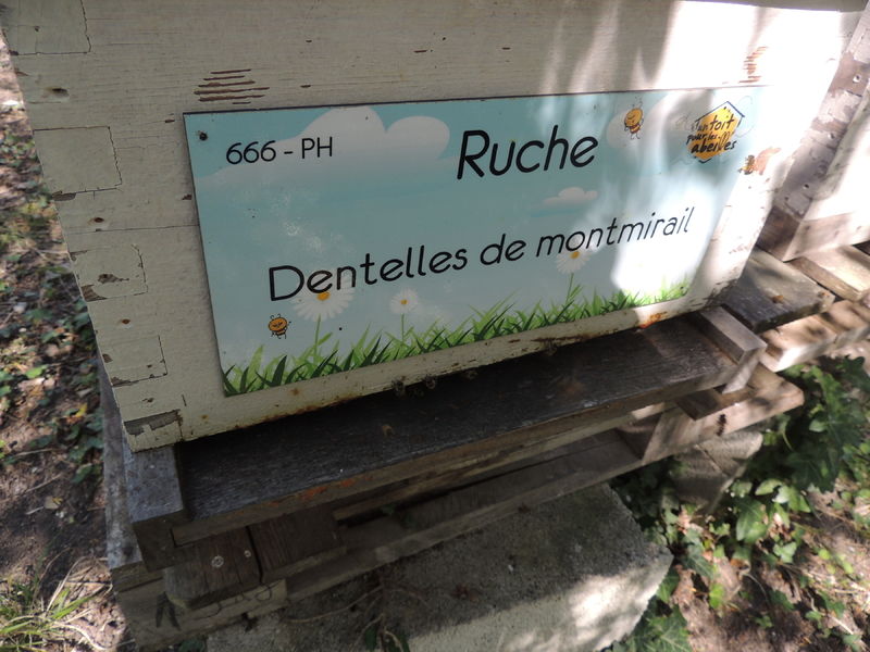 La ruche Dentelles de montmirail