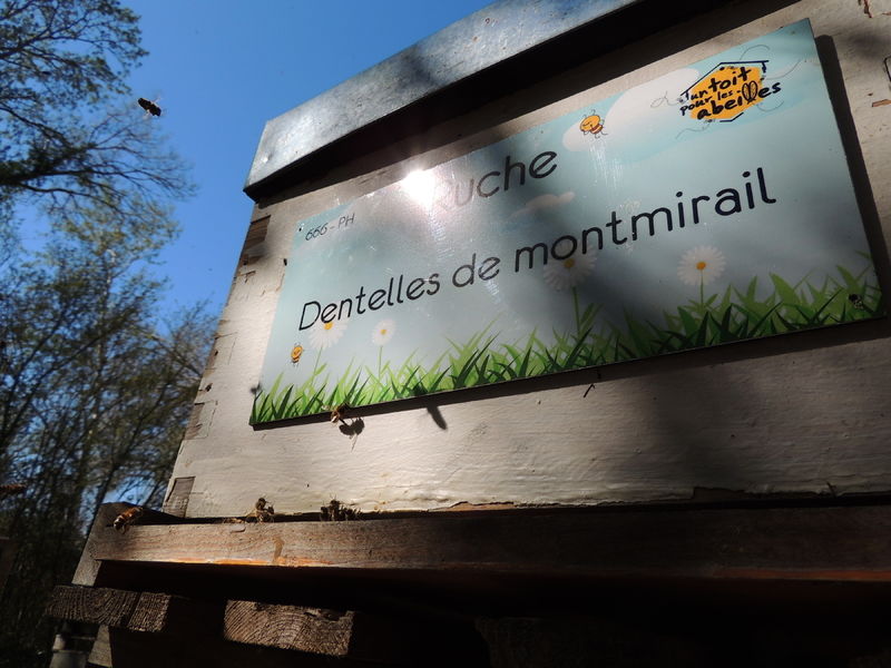 La ruche Dentelles de montmirail