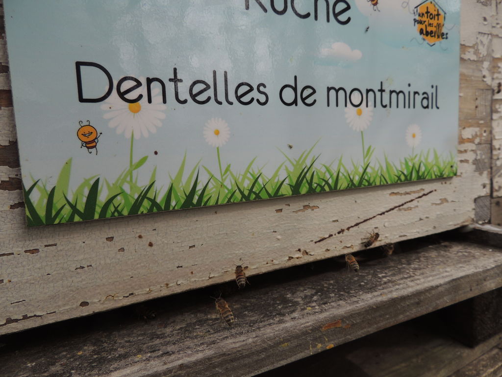 La ruche Dentelles de montmirail