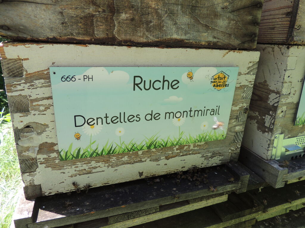 La ruche Dentelles de montmirail