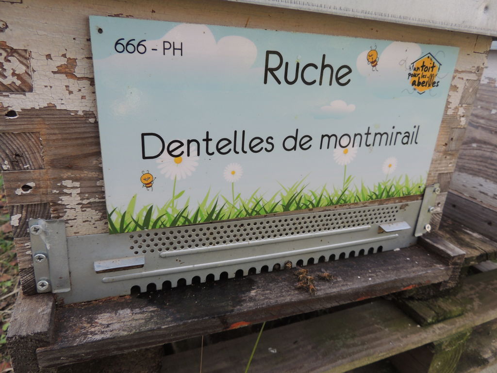 La ruche Dentelles de montmirail