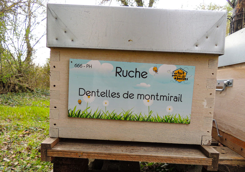 La ruche Dentelles de montmirail