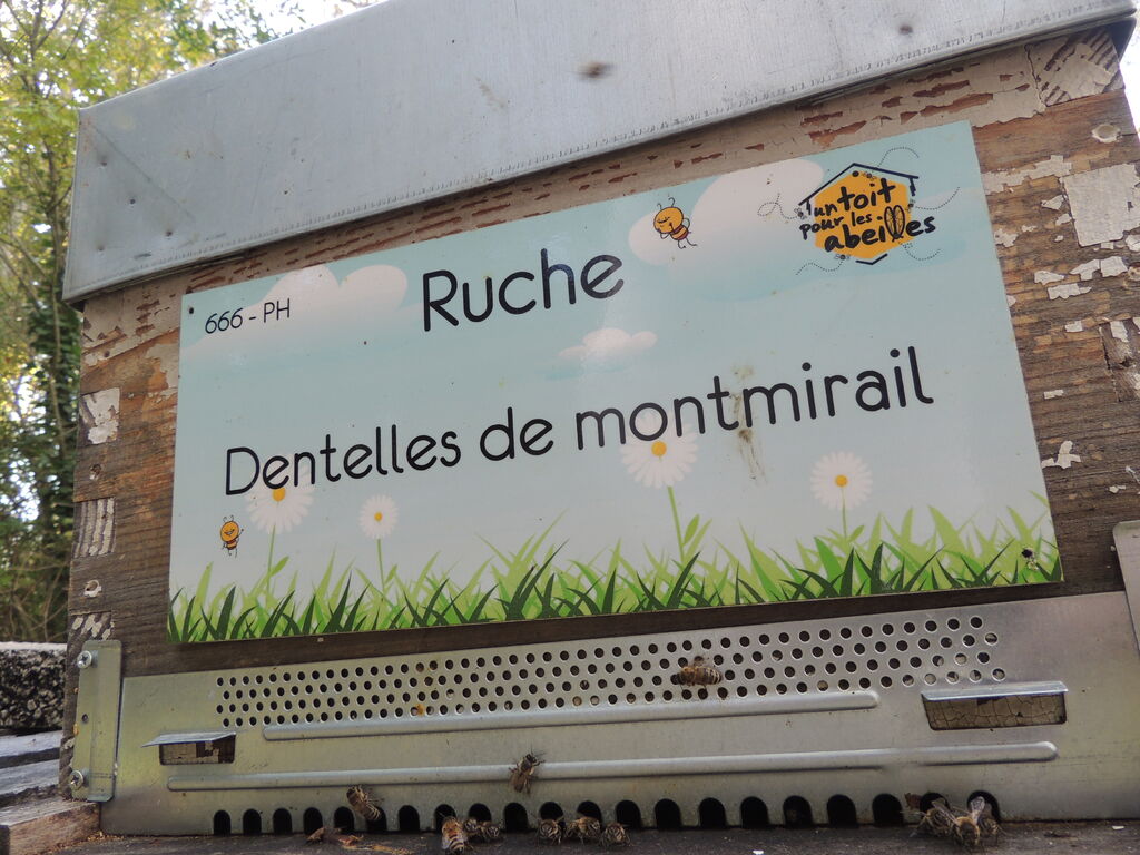 La ruche Dentelles de montmirail
