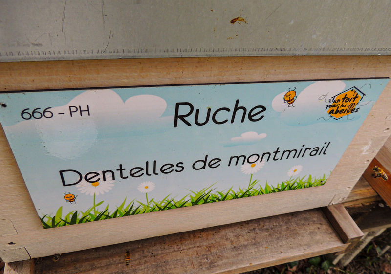 La ruche Dentelles de montmirail