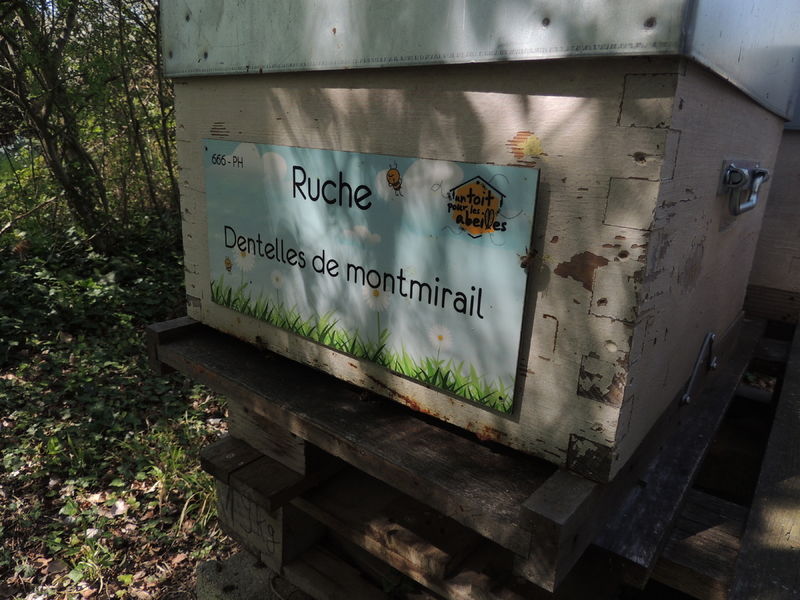 La ruche Dentelles de montmirail