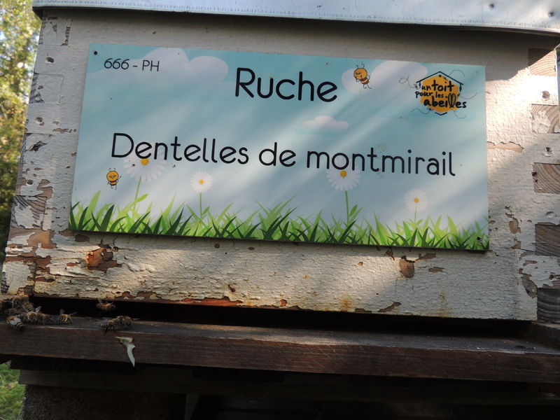 La ruche Dentelles de montmirail