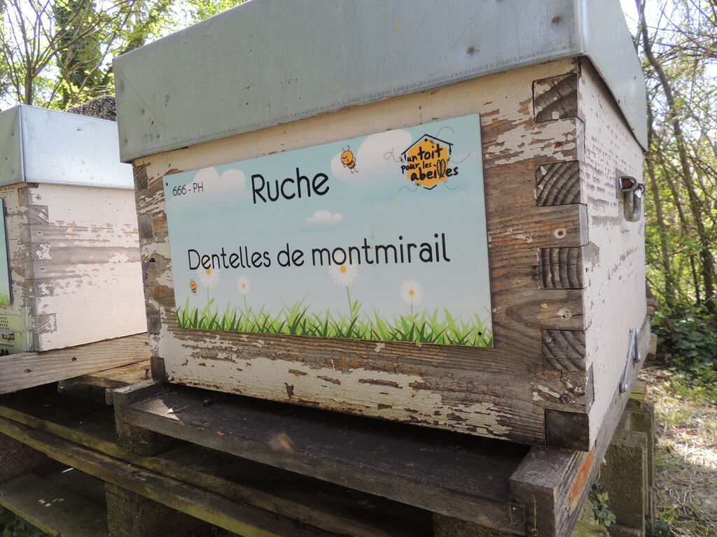 La ruche Dentelles de montmirail