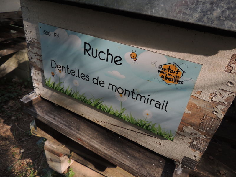 La ruche Dentelles de montmirail