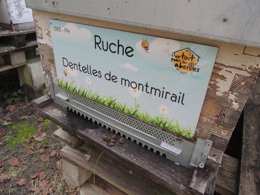 La ruche Dentelles de montmirail