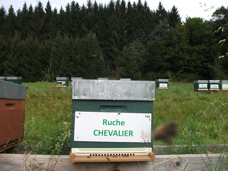 La ruche Chevalier