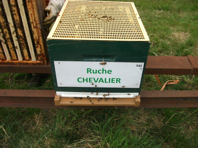 La ruche Chevalier