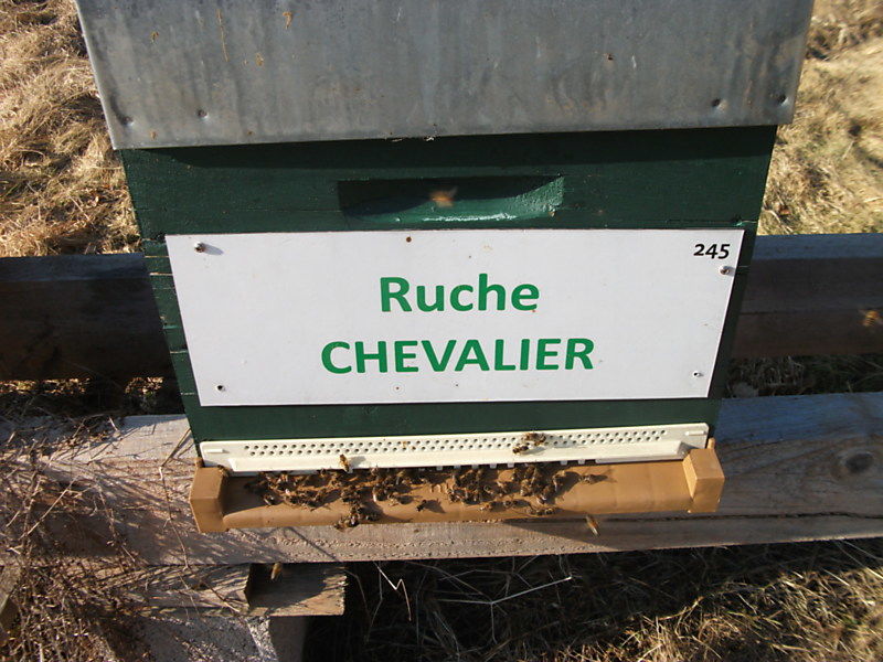La ruche Chevalier