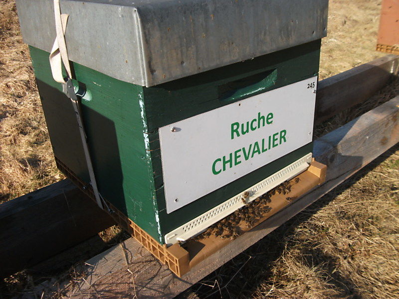 La ruche Chevalier