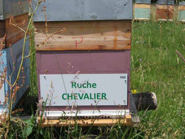 La ruche Chevalier