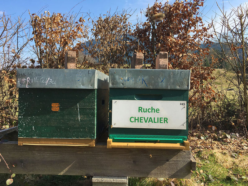 La ruche Chevalier