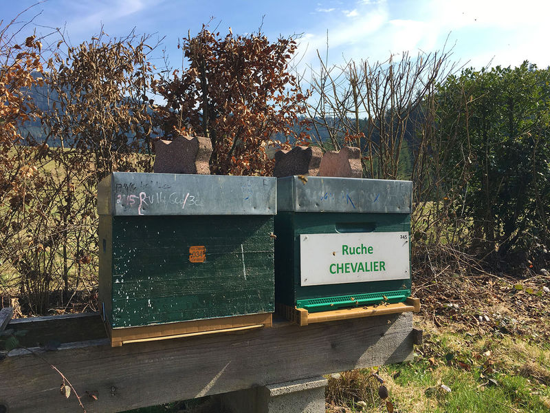 La ruche Chevalier