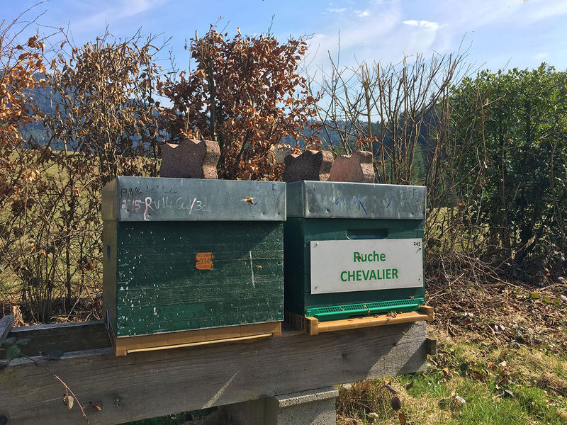 La ruche Chevalier