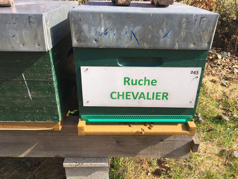 La ruche Chevalier