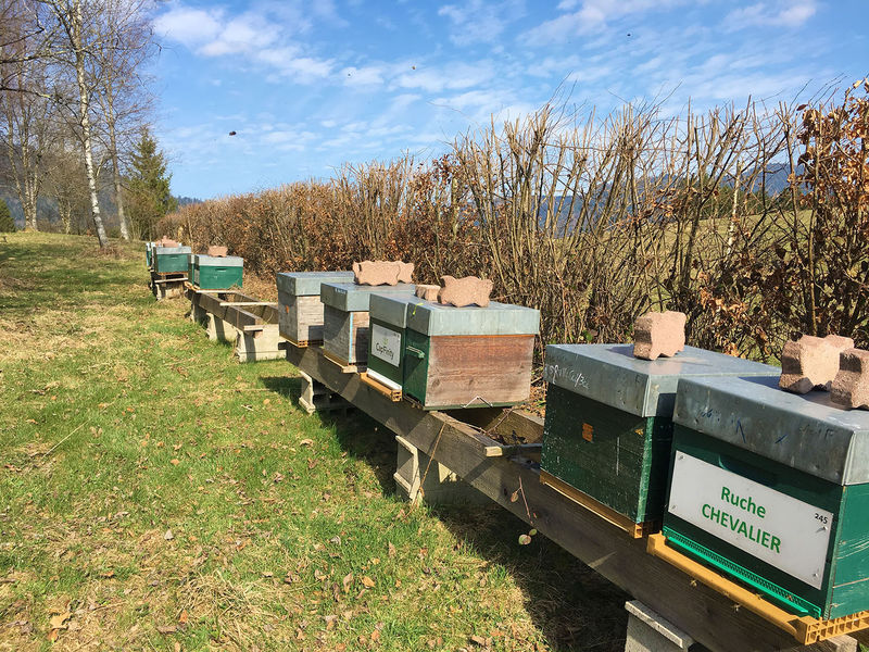 La ruche Chevalier