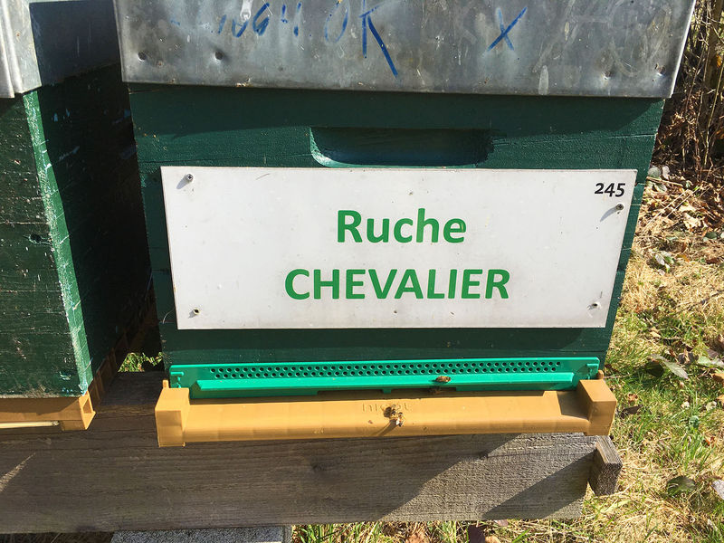La ruche Chevalier