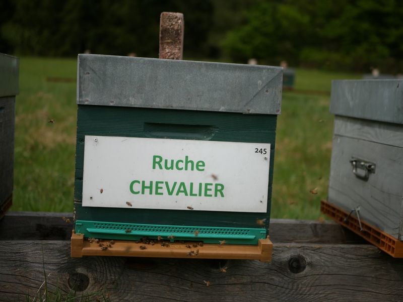 La ruche Chevalier