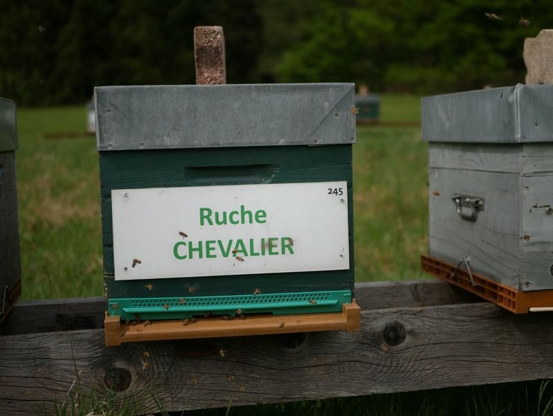 La ruche Chevalier