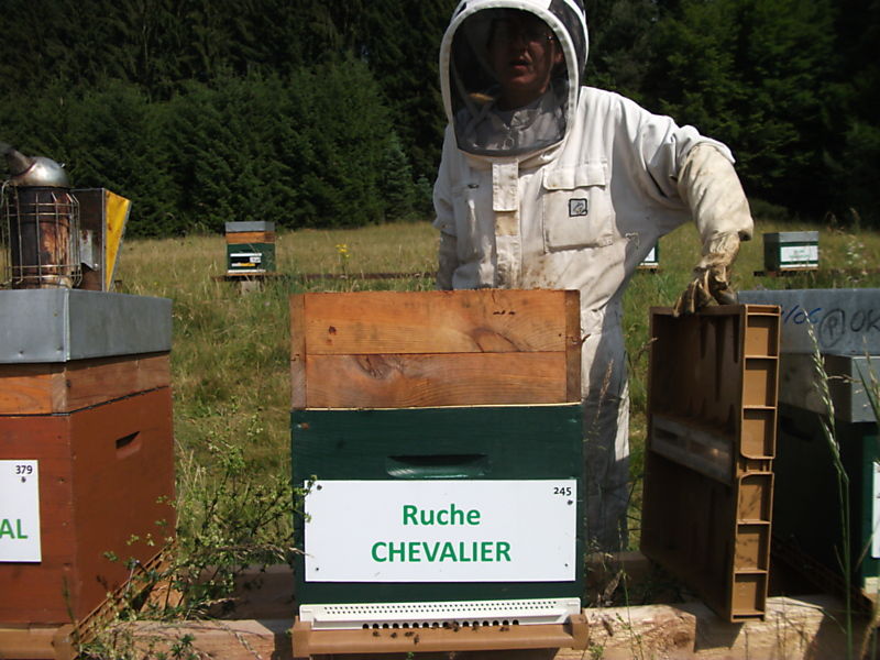 La ruche Chevalier