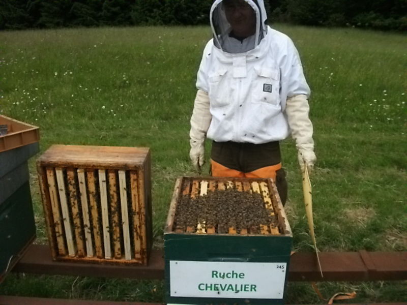 La ruche Chevalier