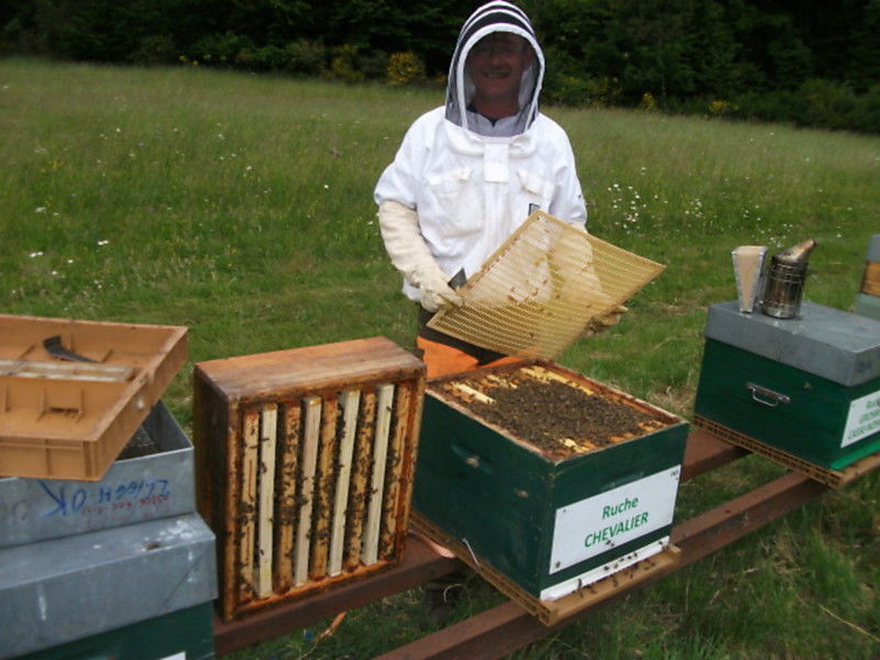 La ruche Chevalier