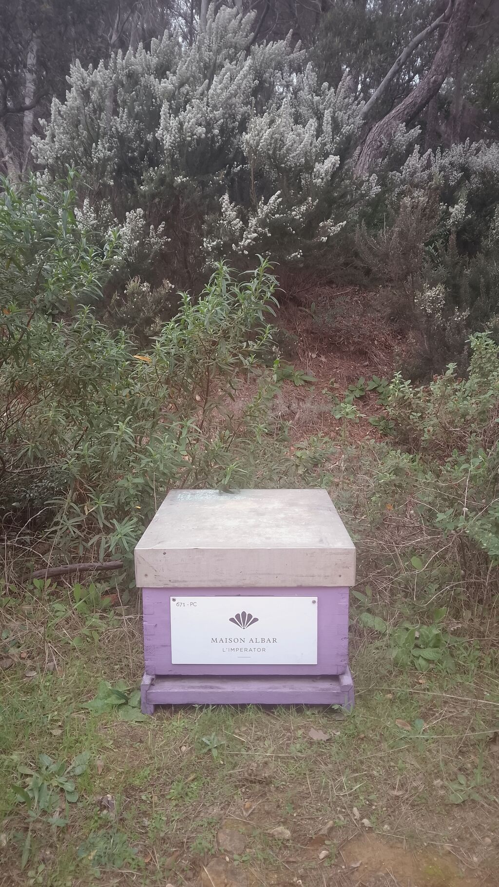 La ruche Maison Albar – L’Impérator 