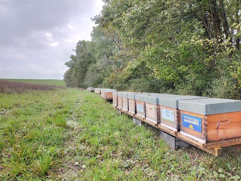 La ruche Prevote transport et logistique