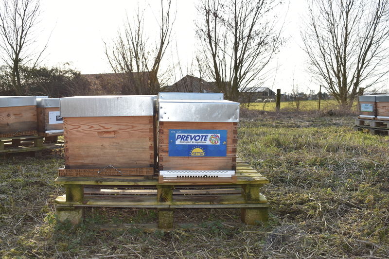 La ruche Prevote transport et logistique