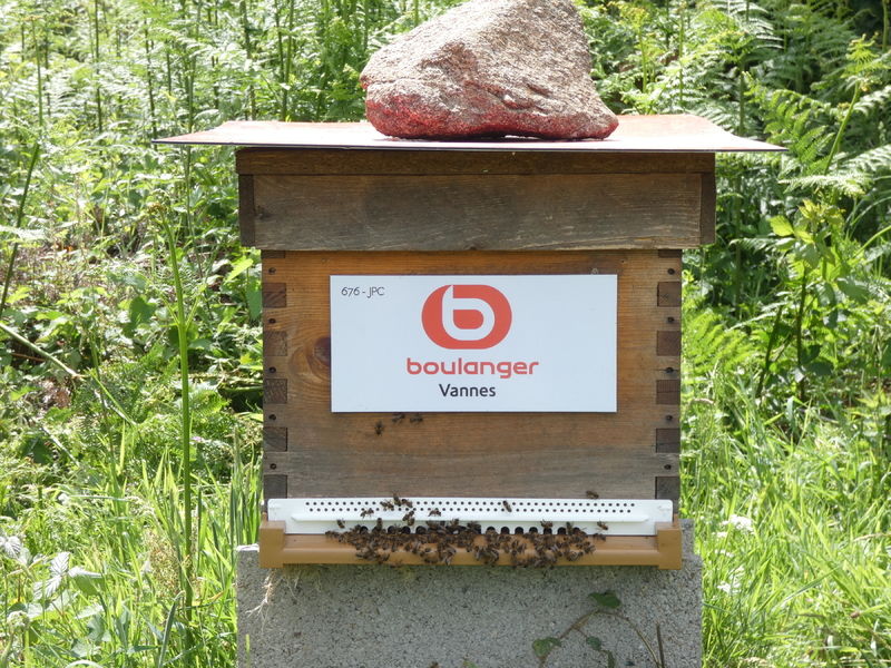 La ruche BOULANGER VANNES