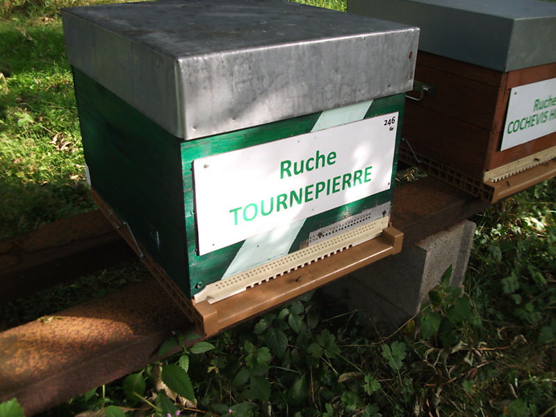 La ruche Tournepierre