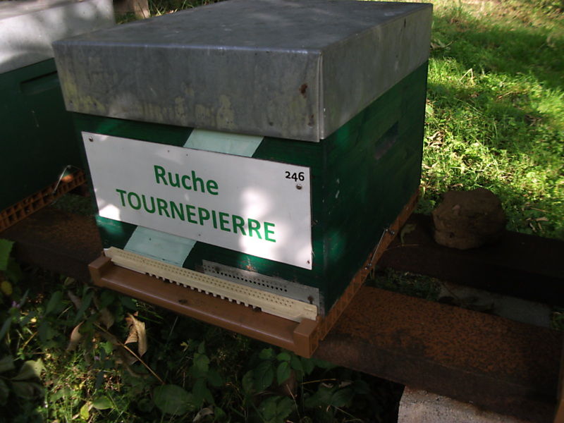 La ruche Tournepierre