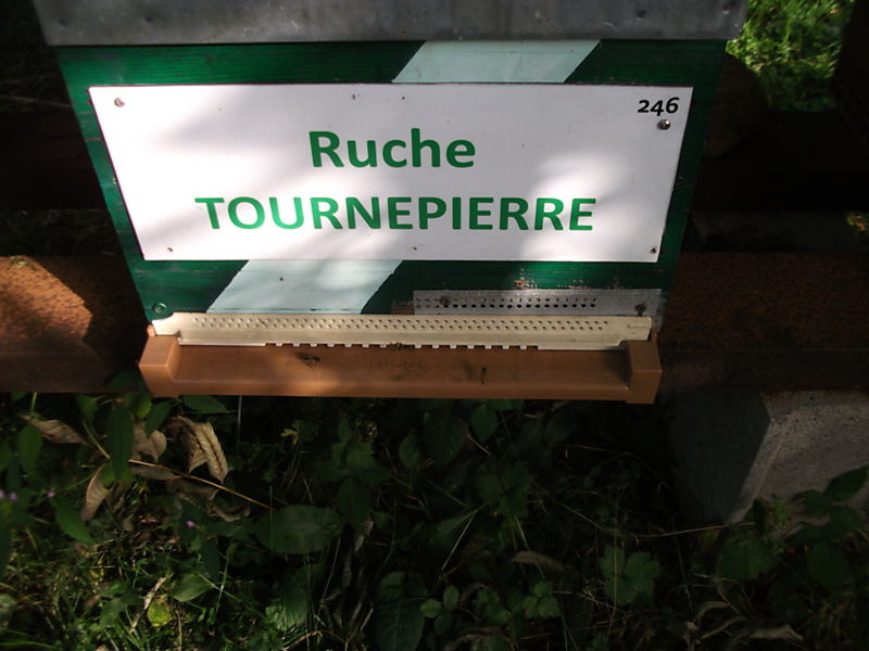 La ruche Tournepierre