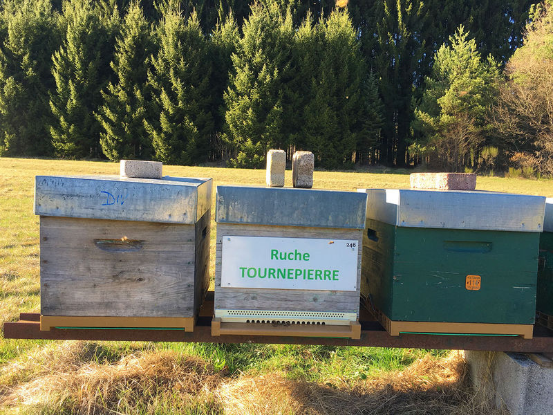 La ruche Tournepierre