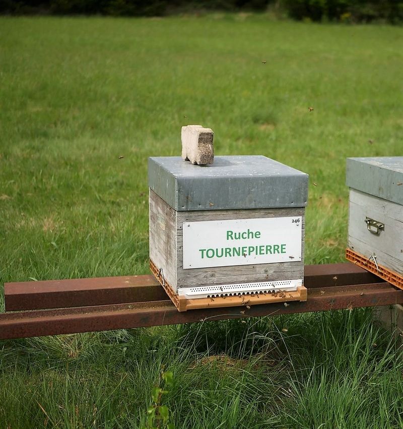 La ruche Tournepierre