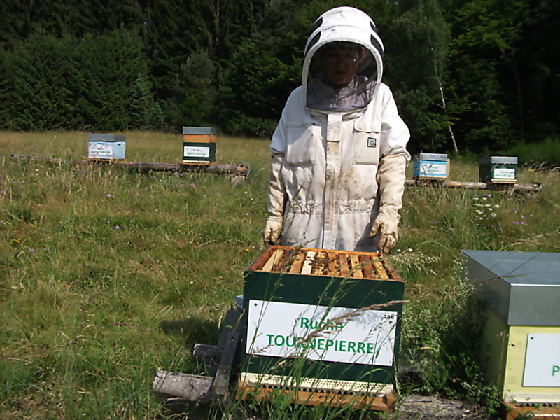 La ruche Tournepierre