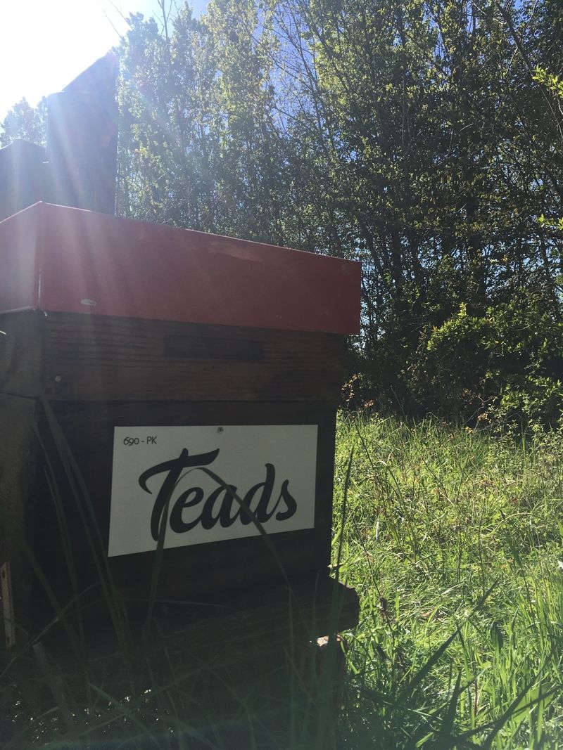 La ruche TEADS France