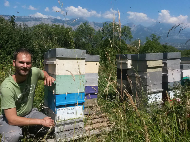 La ruche Poiana