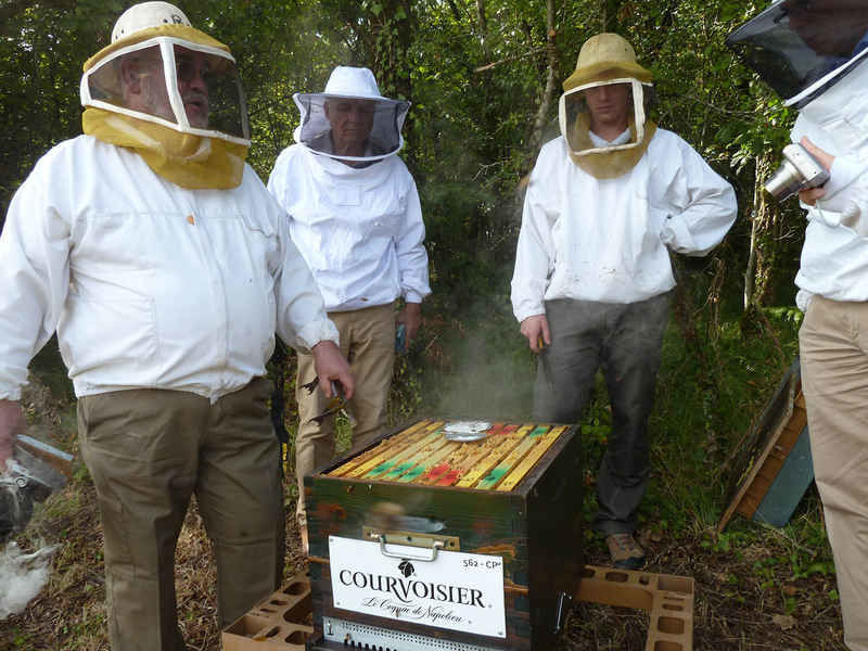 La ruche Courvoisier