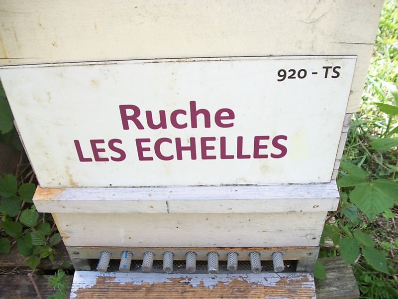 La ruche