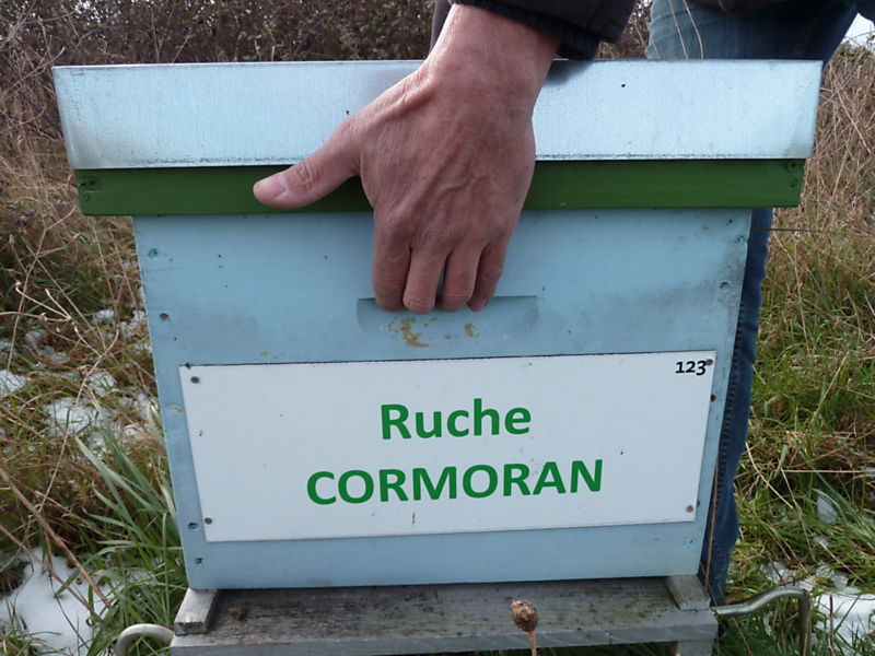 La ruche
