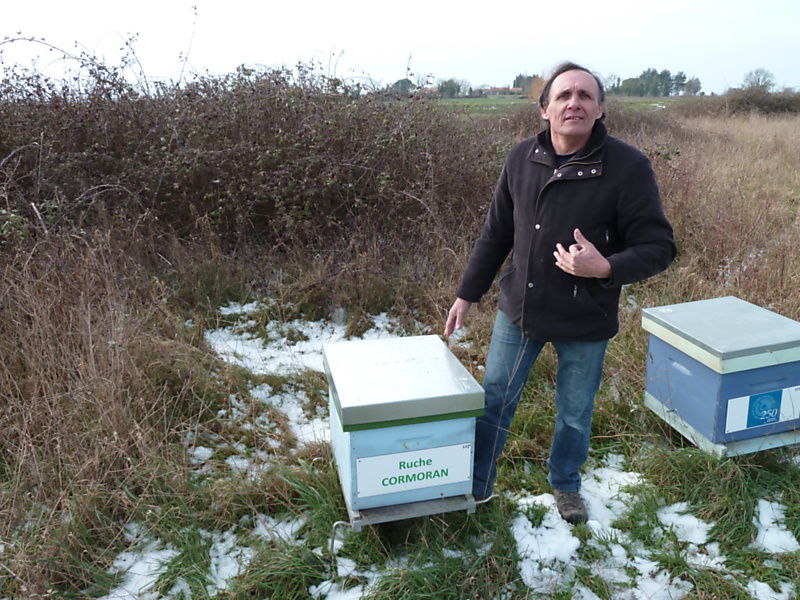 La ruche Cormoran