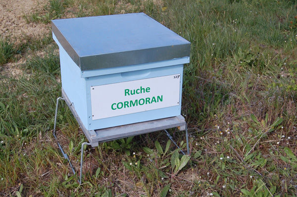La ruche Cormoran