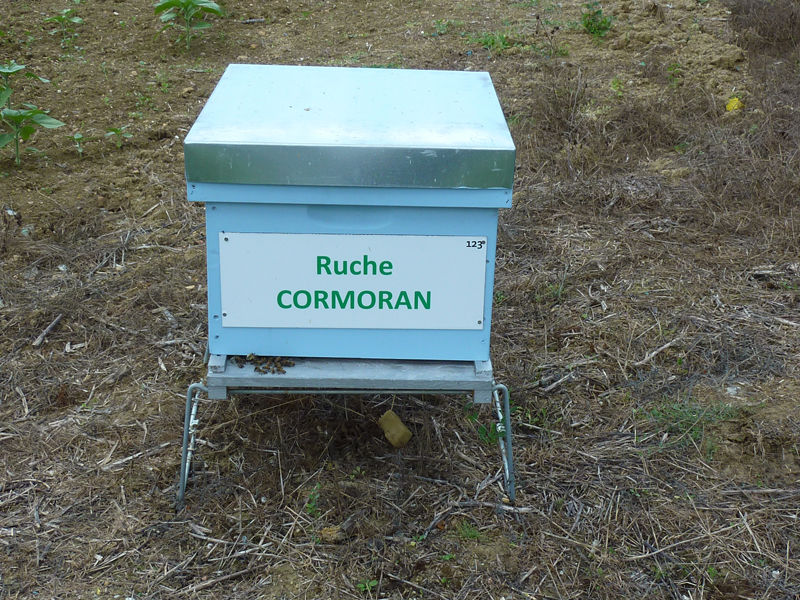 La ruche Cormoran