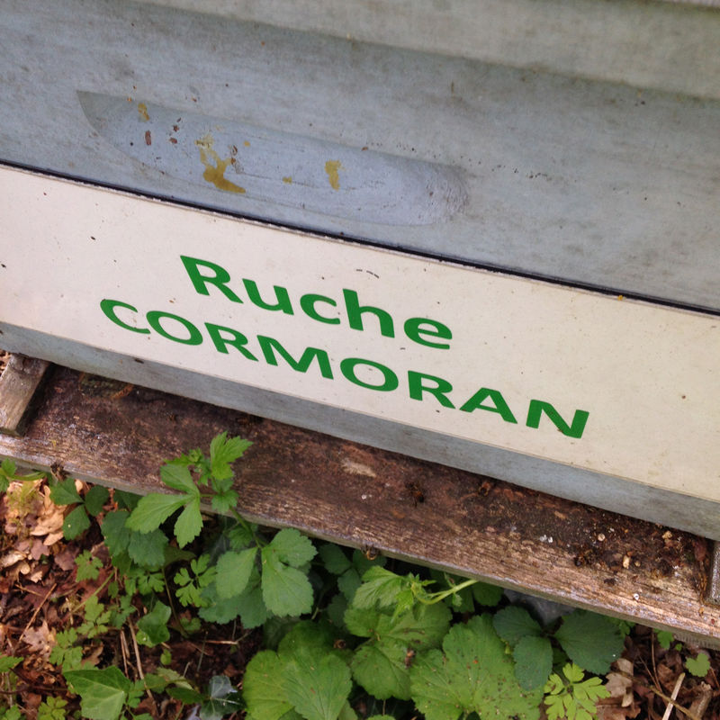 La ruche Cormoran