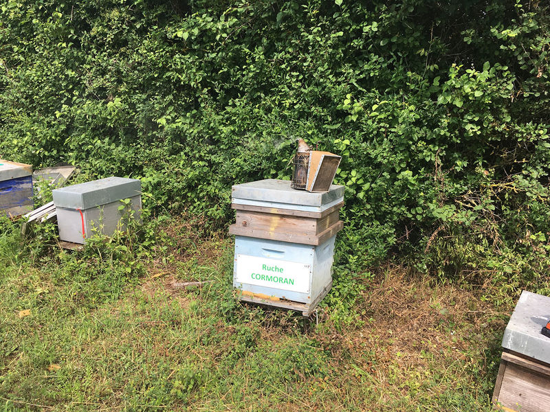 La ruche Cormoran