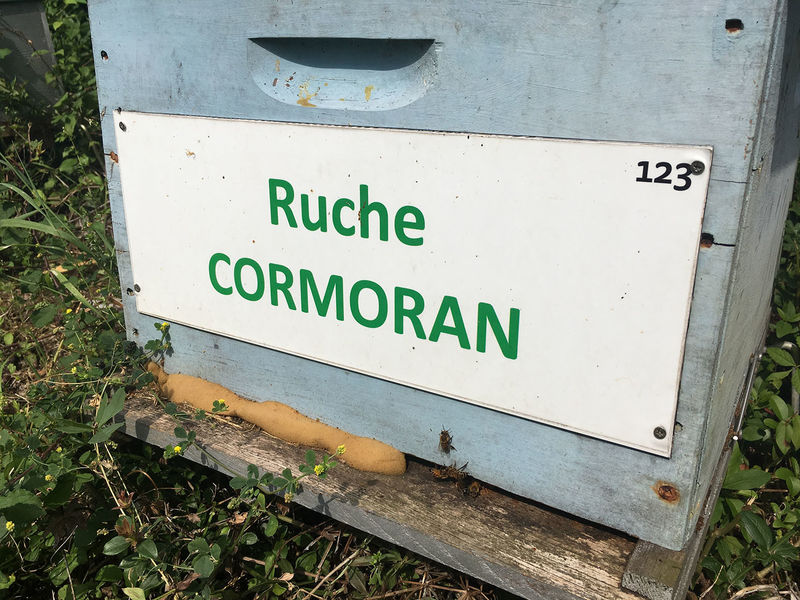 La ruche Cormoran